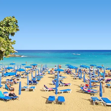 فيلة Harmonia بروتاراس